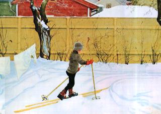 The Skier