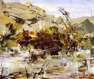 Rocks in the Desert