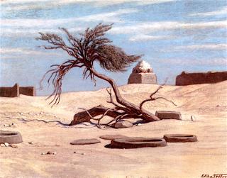 Tree and Graves on the Way to Tel El Armano, Egypt