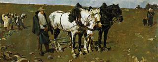 Caballos