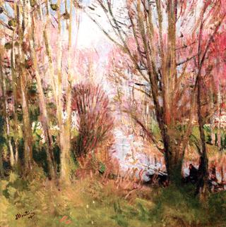 Banks of the River