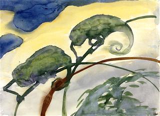 Two Chameleons