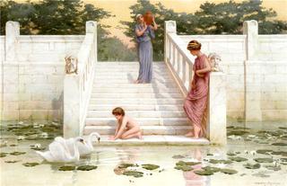 Admiring the Swans