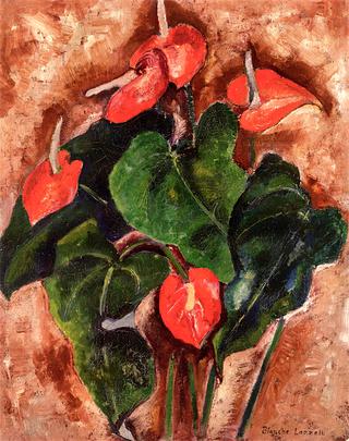Red Anthurium