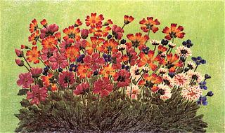 Wildflowers against a Green Background