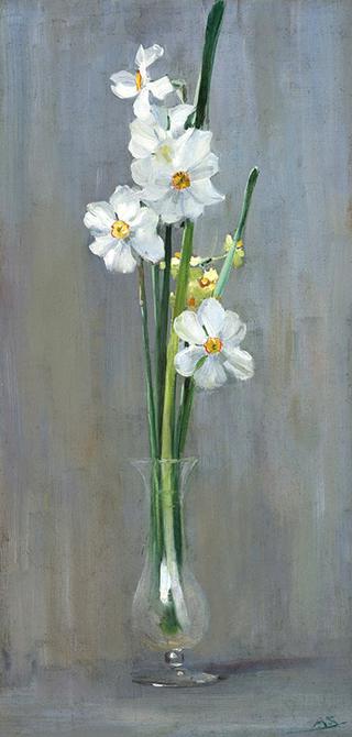Narcissi