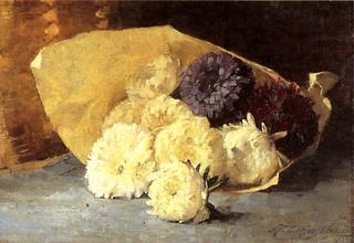 Asters