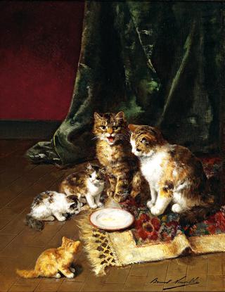 cat family