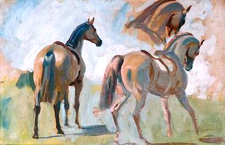 Horse Studies