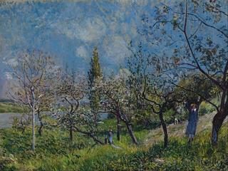 Orchard in Spring - By