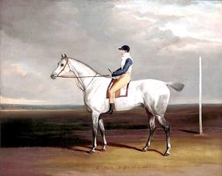 Mr Steel's 'Buffer' Rode by Lord Wilton