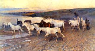 Watering Horses