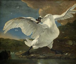 The Threatened Swan