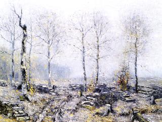 Old Wood Lot