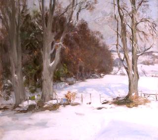 Snow Scene in Woods