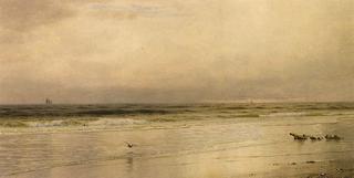 Low Tide on the Jersey Coast