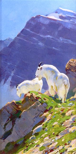 Mountain Goats
