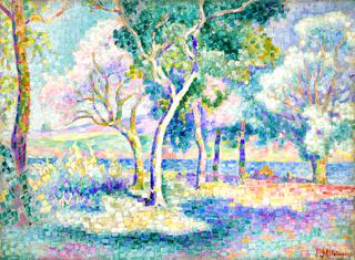 Trees near a River