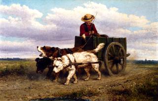 The Journey Home