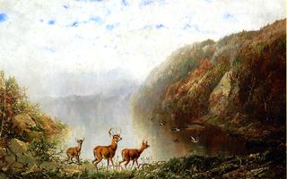 Landscape with Deer and Ducks