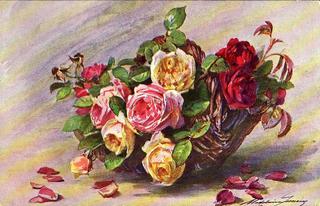 Roses