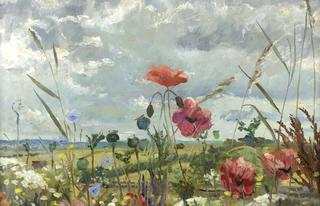 Poppies in a Meadow