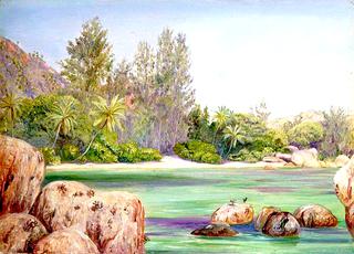 Life on the Coast of Praslin, Seychelles