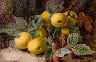 Quince and Blackberries