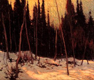 Morning, Algonquin Park