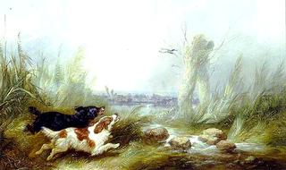 Spaniels Putting Up a Mallard