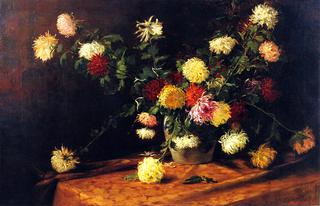 菊花