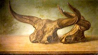 The Melksham Ox (skull of bos primigenius found in the Avon at Melksham, Wiltshire)