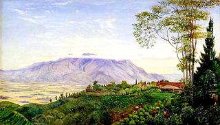 Tea Gathering in Mr Hölle's Plantation at Garoet, Java