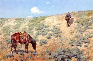 Stalking Antelope