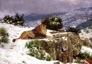 A Lion in the Snow