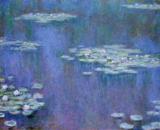 Water-Lilies