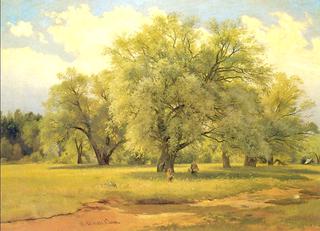Sunlit Willow