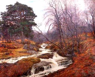 Caledonian Forest