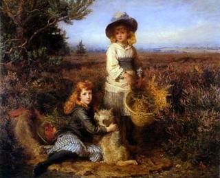 Among the fernes