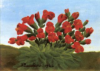 Red Flowers against a Blue Sky