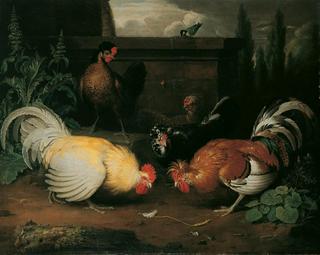 The Chicken Yard
