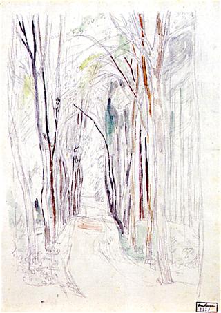 Avenue in Langenargen