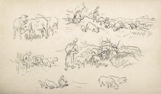 Study of sheeps and shepherds