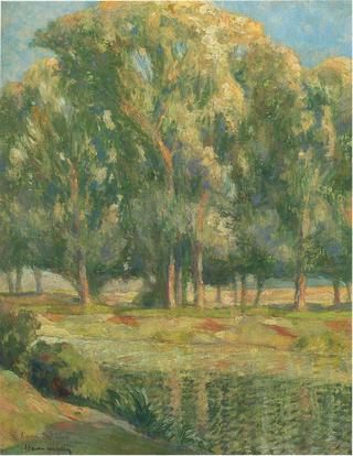 Trees by the River