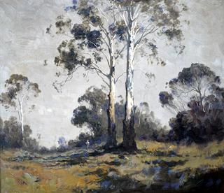 Ghost Gums and Figure
