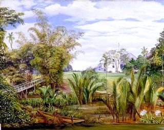 The Istana from the Slanting Bridge, Sarawak, Borneo