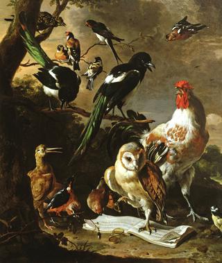 Bird 'Concert'
