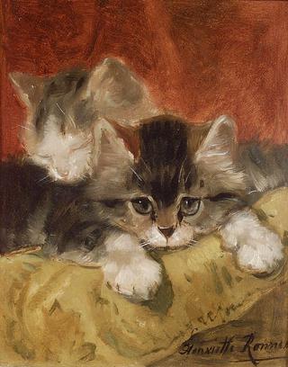 two kittens on a pillow