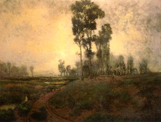 Morning Landscape