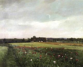 A Landscape with the poppies